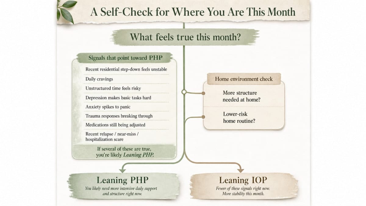 Visualize the decision framework described in the section — signals pointing toward PHP versus IOP, plus the home environment check — as a process/decision infographic supporting the section's self-assessment structure