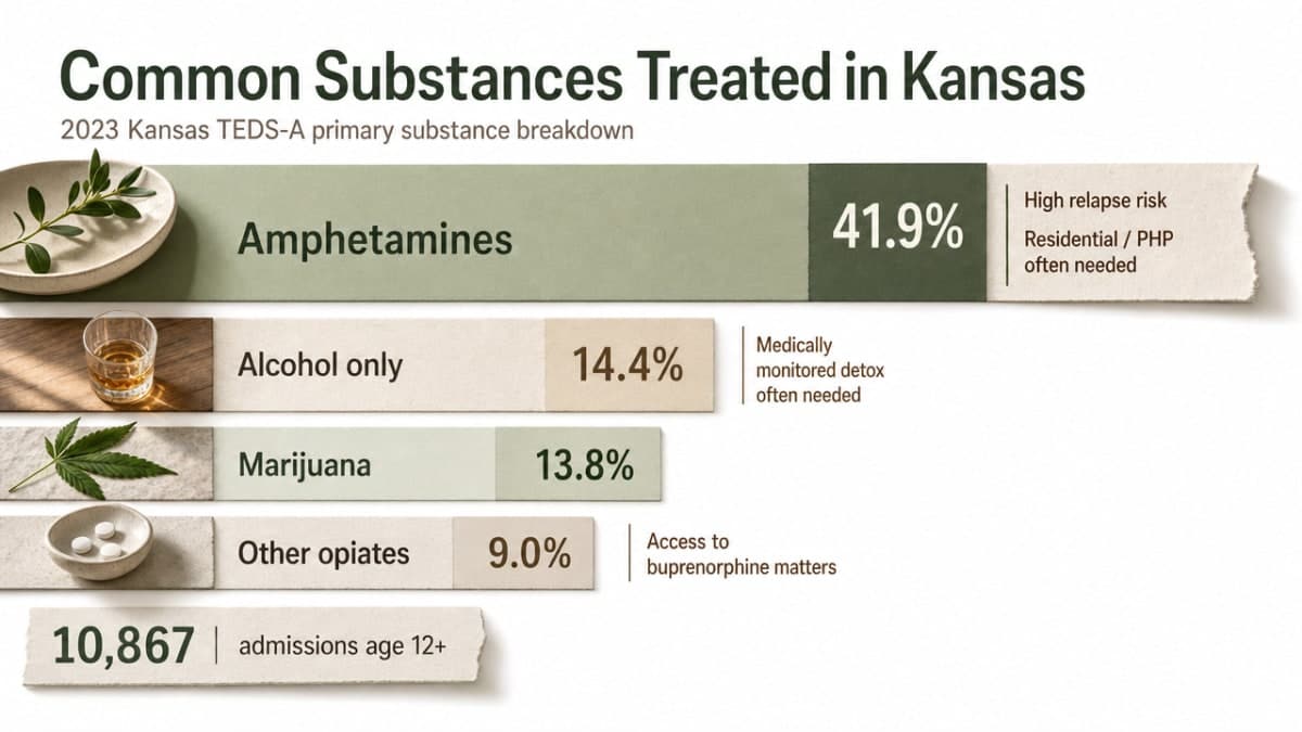 Visualize the 2023 Kansas TEDS-A primary substance breakdown cited in the section prose (amphetamines 41.9%, alcohol only 14.4%, marijuana 13.8%, other opiates 9.0%)