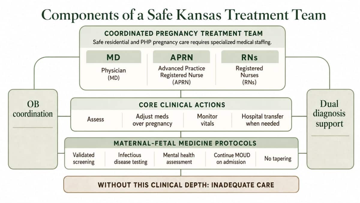 Process infographic showing the coordinated care team model described in the section (MD/APRN/RN staffing, OB coordination, dual diagnosis), grounded in cited maternal-fetal medicine protocols and AHRQ recommendations