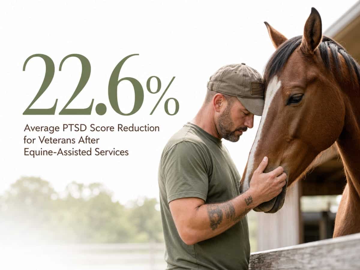 Infographic showing Average PTSD Score Reduction for Veterans After Equine-Assisted Services