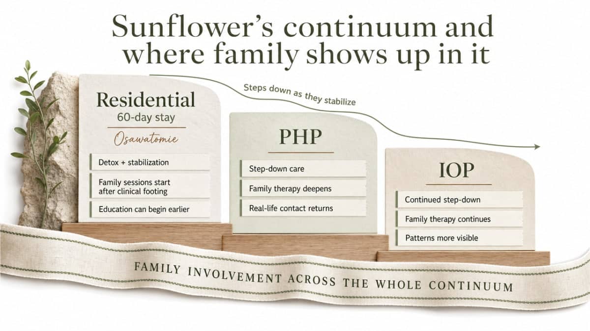 Visualize the three-phase treatment continuum and how family involvement threads through each stage, supporting the section's explanation of staged care