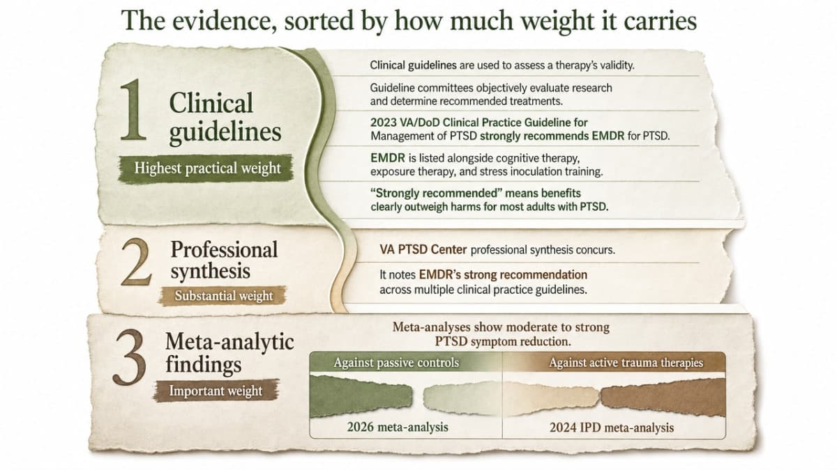 Compare EMDR effect sizes against passive controls versus active trauma therapies, as described in the section citing the 2026 meta-analysis and 2024 IPD meta-analysis