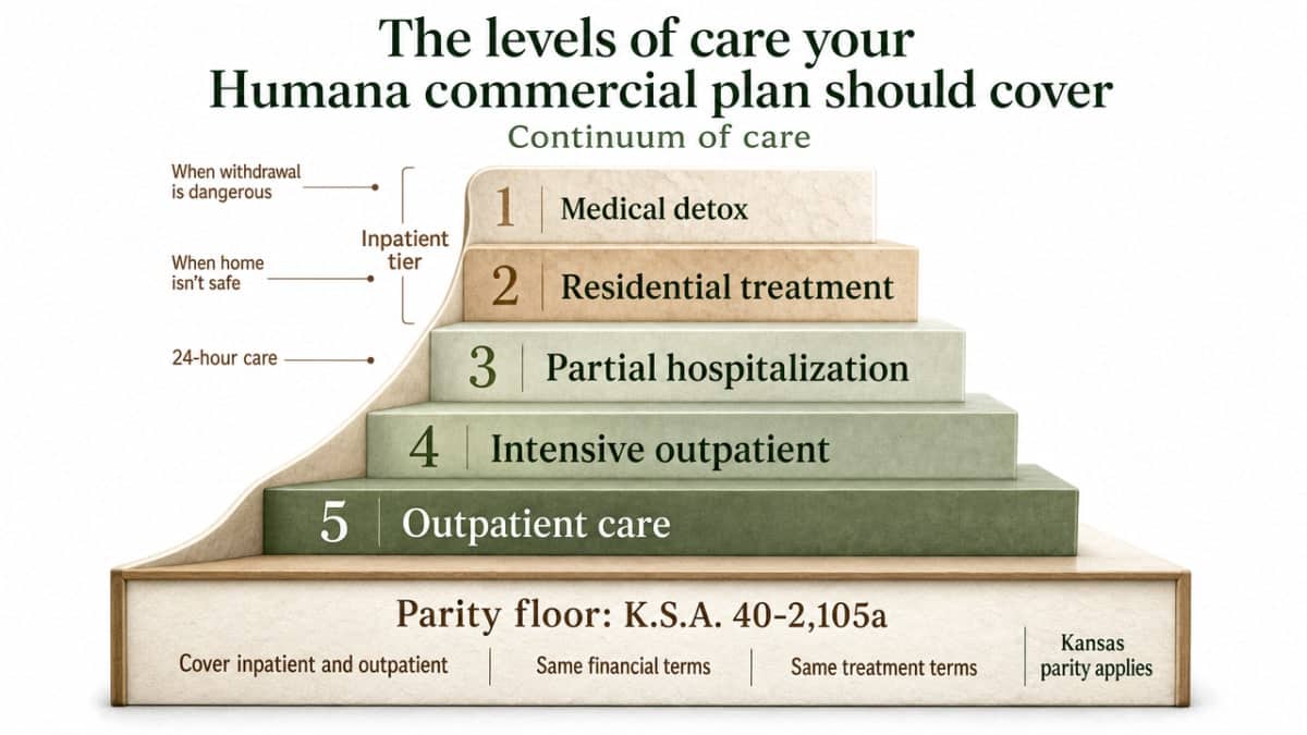 Visualize the continuum-of-care ladder described in this section, matching the five named levels of care and connecting each to the parity framework the section cites